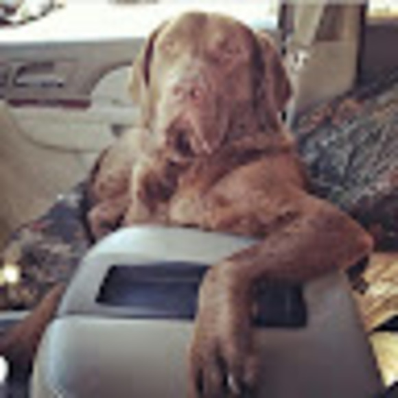 Meet your Posher, Barry - Picture 1 of 1